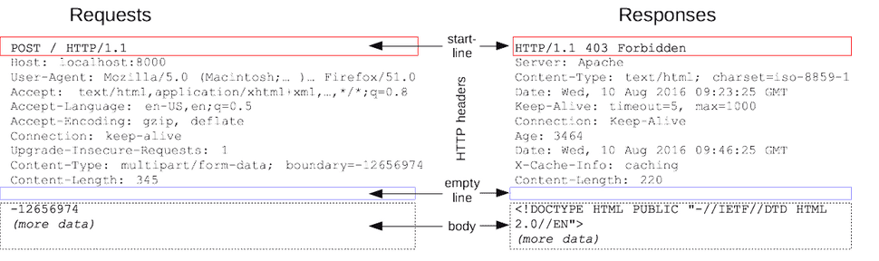 HTTPMsgStructure2